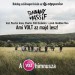 PUNNANY MASSIF feat. PÁSZTOR ANNA, CHARLIE, PETŐ SZABOLCS: Ami VOLT, az majd lesz! (A 25. Telekom VOLT Fesztivál Himnusza)
